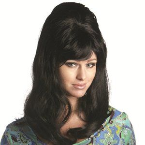 1960's Cone Top Beehive Premium Quality Wig